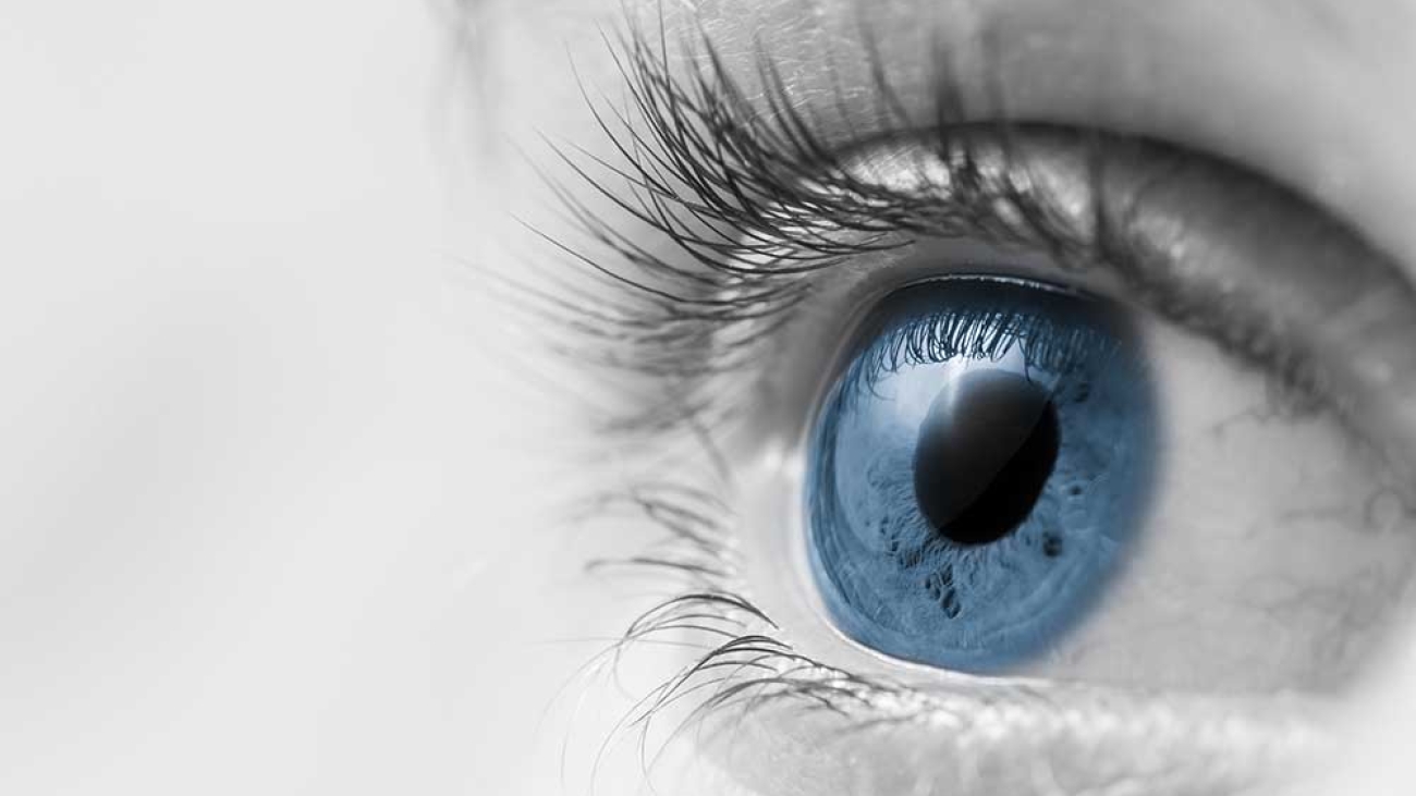 Black and white banner with a close up blue iris