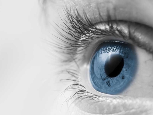 Black and white banner with a close up blue iris